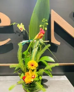 Chez Zen, on vous offre des bouquets uniques, créés sur-mesure par nos fleuristes inspirés. Aujourd'hui on vous présente celui-ci, qui marie lignes épurées et couleurs vibrantes pour un effet élégant et audacieux. 💐🌻

#fleuristemontreal #bouquetdefleurs #flowerbouquet #arrangementfloral #lepouvoirdesfleurs #laurierouest