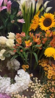 Un petit coup d’oeil sur nos derniers arrivages de fleurs 💐🌸

#flowers #flowerlove #fleurs #fleuriste #bouquet #lepouvoirdesfleurs