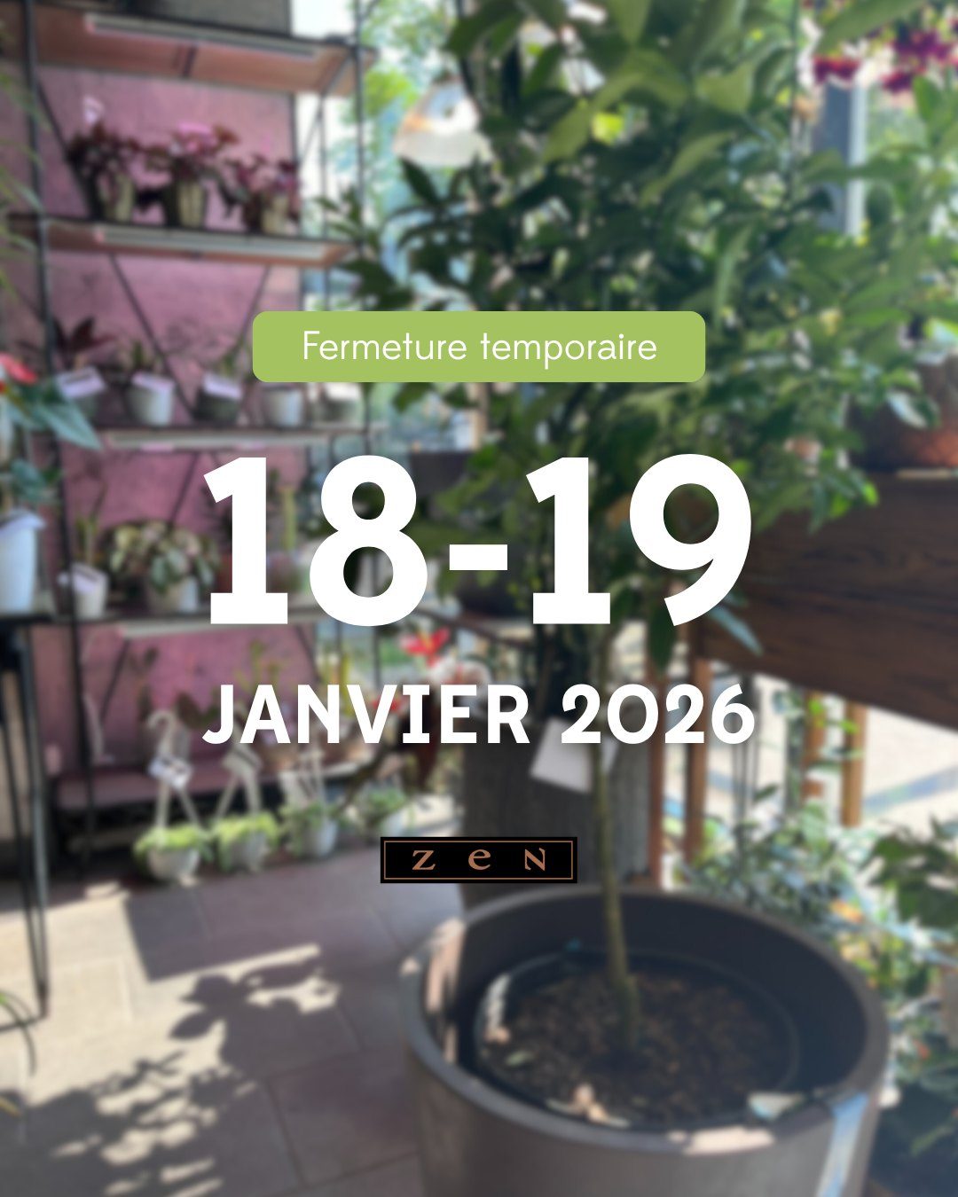 📣Veuillez prendre note que la boutique sera exceptionnellement fermée les dimanche 18 janvier et lundi 19 janvier. 📆

💐Nos services de commandes en ligne et par téléphone resteront disponibles pendant ces deux journées. 

La boutique réouvrira avec son horaire habituel dès le 20 janvier. Merci de votre compréhension!🌸