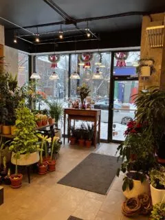 Transformation Zen !  #fleuriste #florist #valentines #design #fleurs