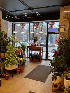 Transformation Zen !  #fleuriste #florist #valentines #design #fleurs