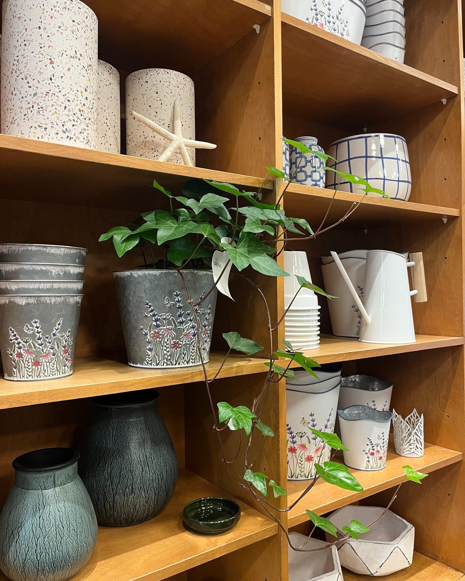 Trouvez le pot parfait pour votre plante préférée! Venez découvrir nos nouveautés en boutique.🪴

📍257 Av. Laurier O, Montréal

#vases #potdefleur #flowerpot #lepouvoirdesfleurs #fleuristemontreal #plateaumontroyal #mileendmtl #laurierouest