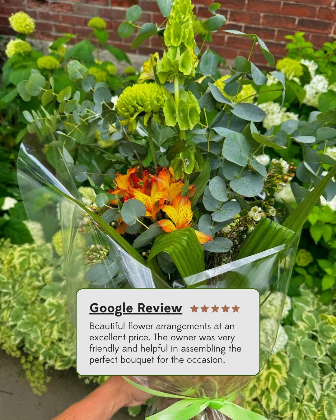 From everyday gestures to meaningful celebrations, we love creating the perfect bouquet for every occasion.🌹

Merci pour votre confiance! 💚

📷Google Review | Plant Lover

#montrealflorist #fleuristemontreal #bouquetdefleurs #flowerbouquet #flowers