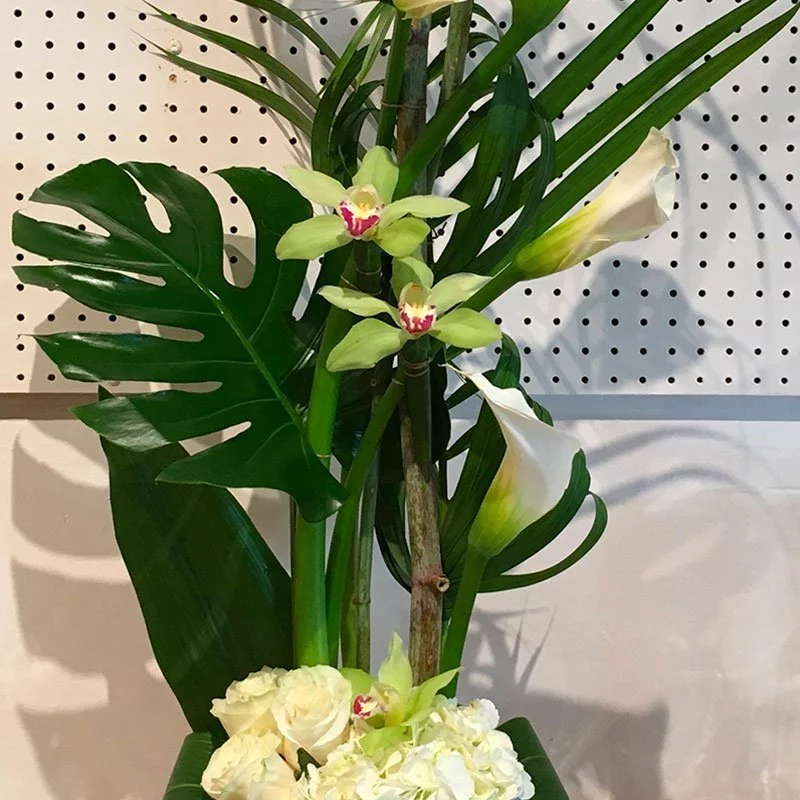 ARRANGEMENT MAJESTY BLANC